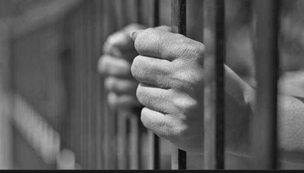 Two OGWs booked under PSA in Doda: Police